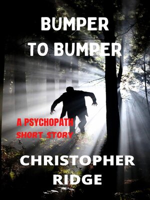 cover image of Bumper to Bumper